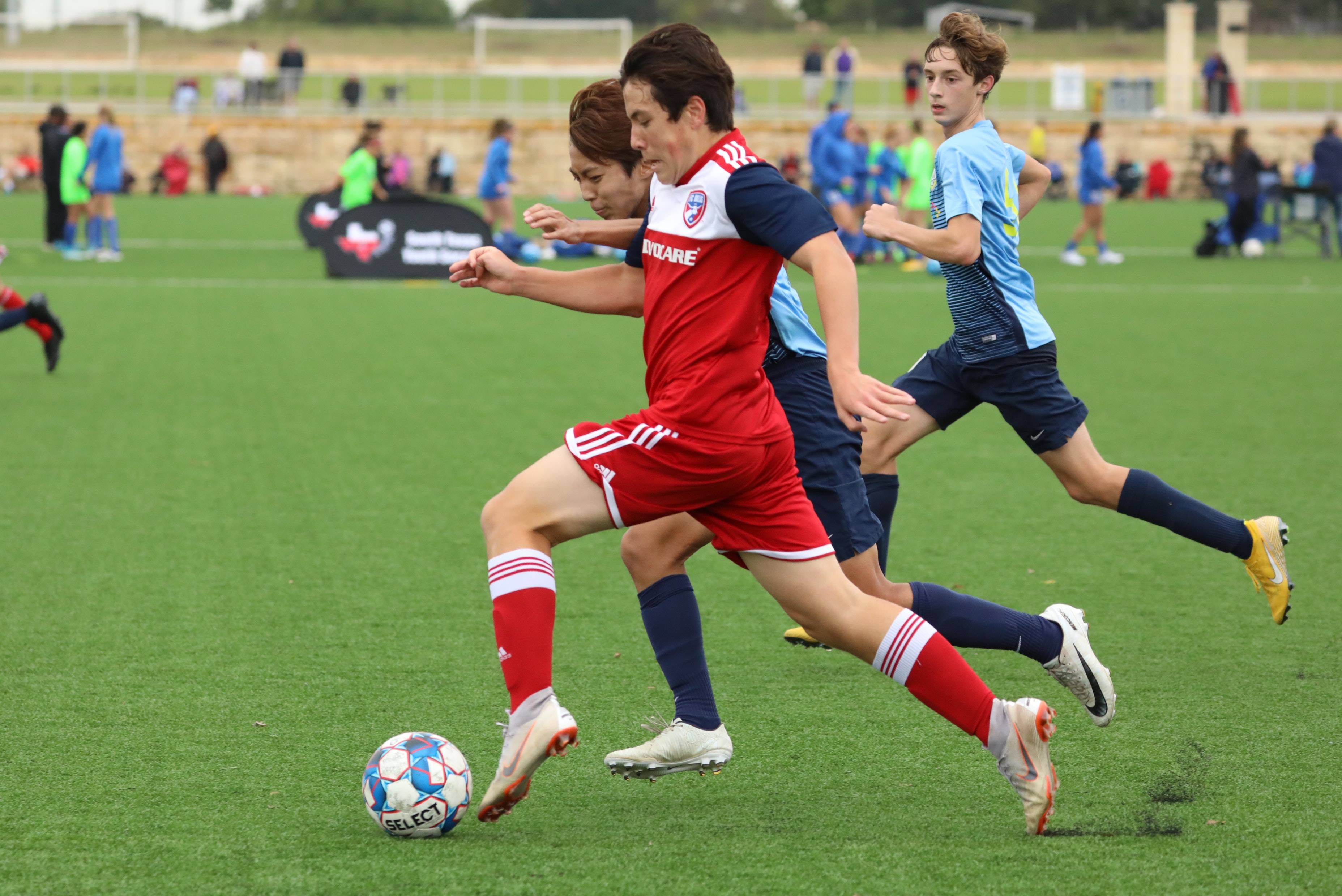 用已出现多 用已出现多