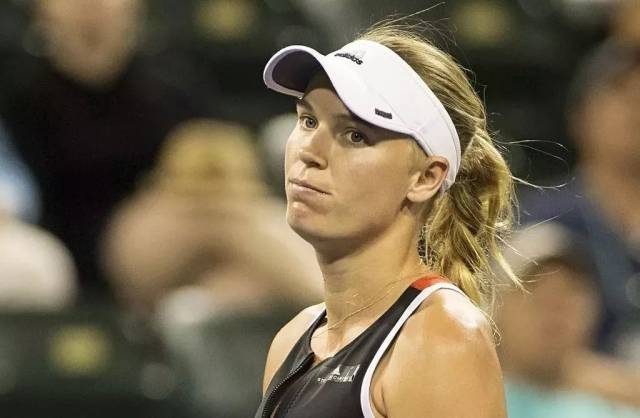 审慎的资产 审慎的资产